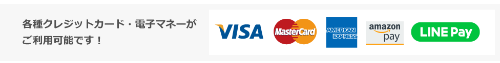 各種クレジットカード・電子マネーがご利用可能です！
